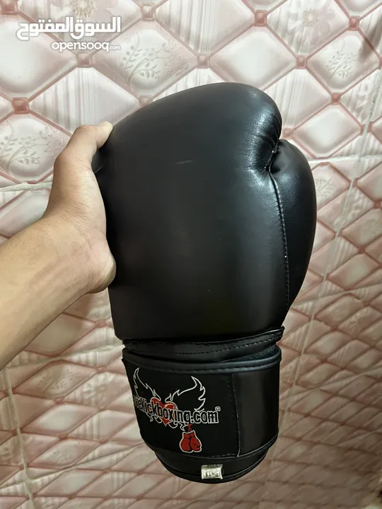 قلفز boxing ماركا