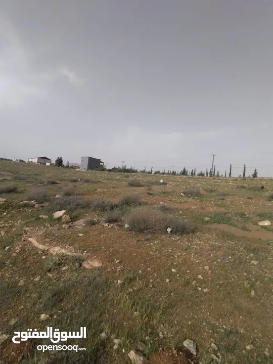 3600م للبيع رحاب بني حسن مرتفعه ومطله ع طريق اريد الزرقاء من المالك مباشره