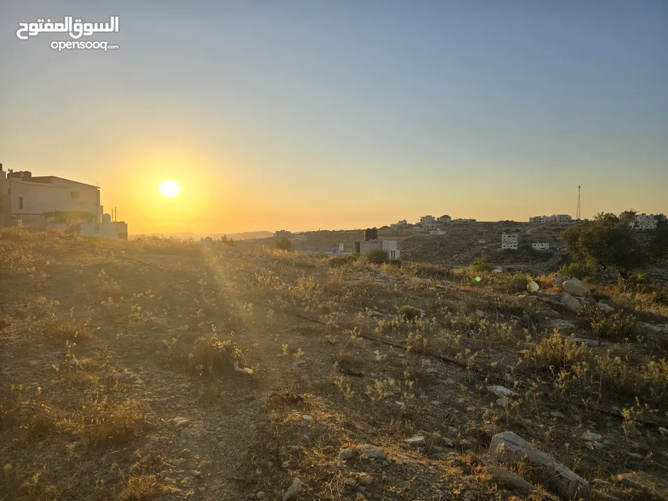 اطلاله ابديه ع الغرب 700 متر ابو شخيدم