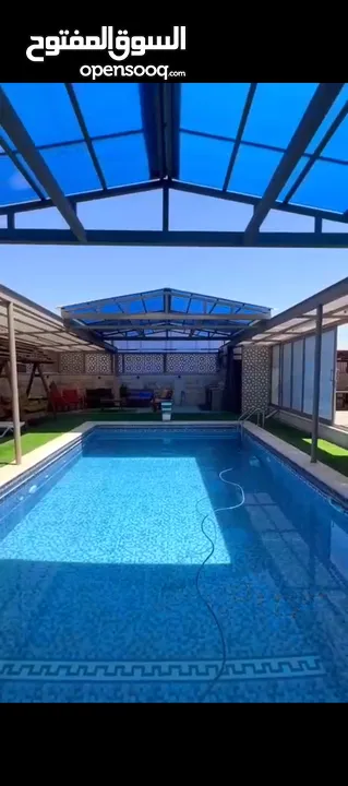 ابو وائل عليوي