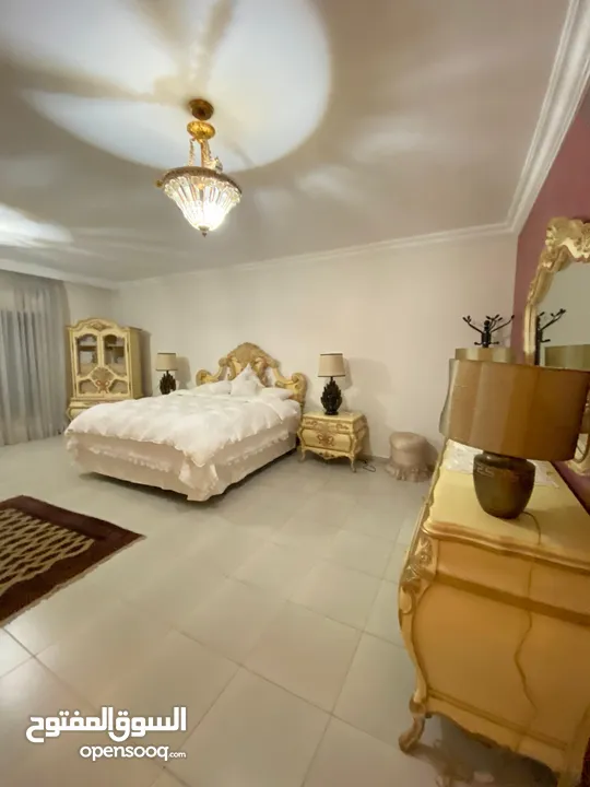 شقة مفروشة فاخرة اعلان رقم (S41)