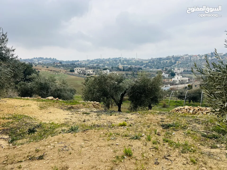 3500 م زي إطلالة خلابه