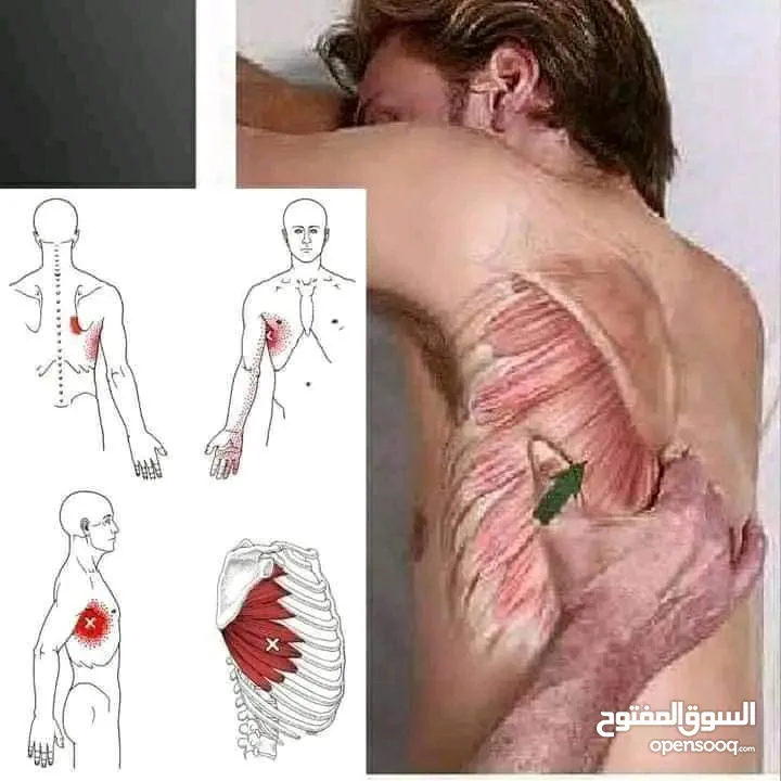 مدرب لياقه بدنيه وبناء أجسام ومدرب سباحه
