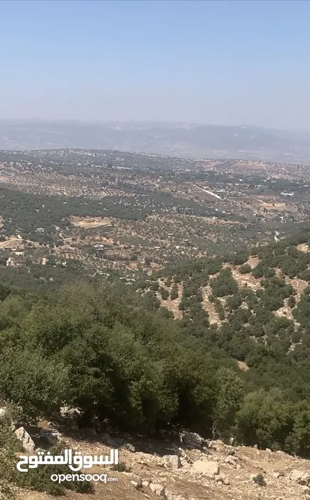 قطعه ارض مميزه الزعتري السلط