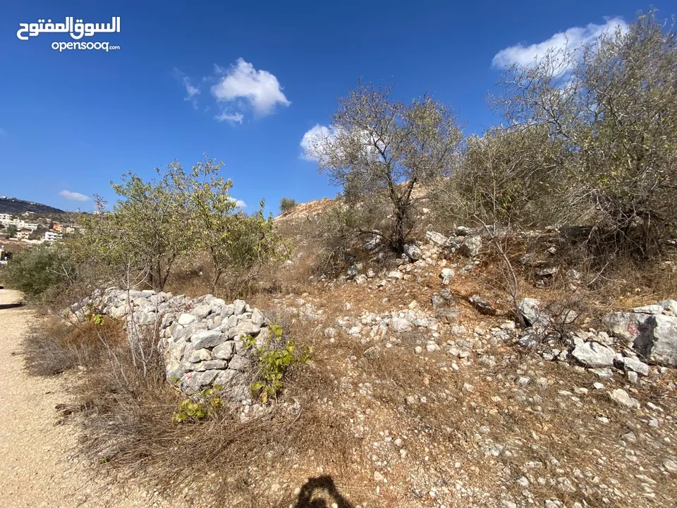 قطعة ارض للبيع  كوشان نظيف  تنازل مباشر تصنيف A منطقة جبل الشيخ عيسى  اطلاله غربيه