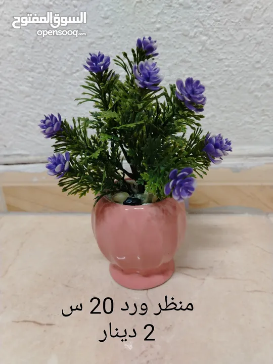 فازات مناظر مراي