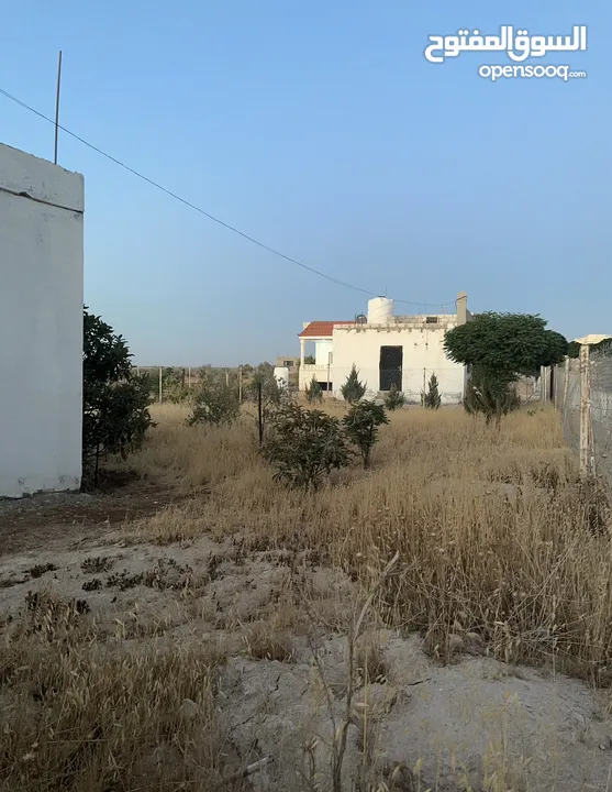 مزرعه للبيع مساحتها دلم