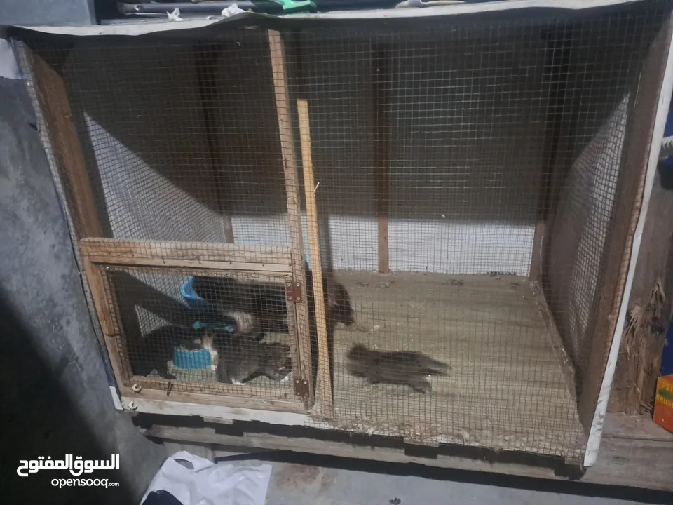 قفص مستعمل يدوي متر ونصف في 80 سم.................................................................