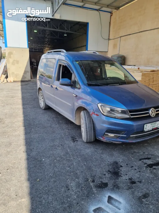 كادي ترخيص 2017 شصي قصير