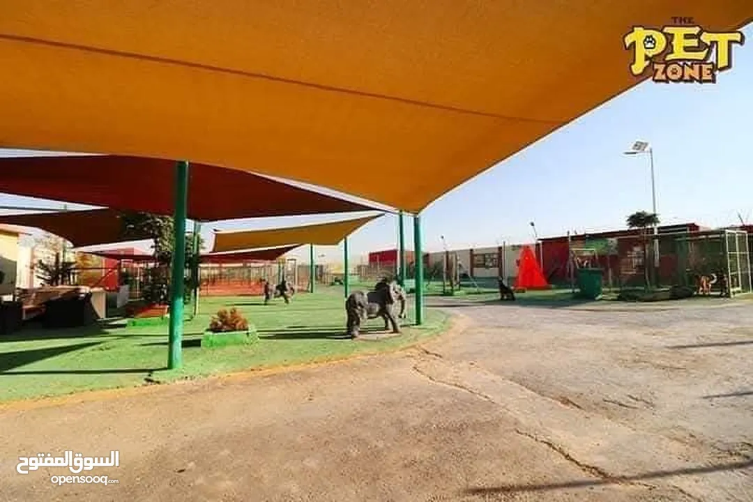 Dog hotel ...