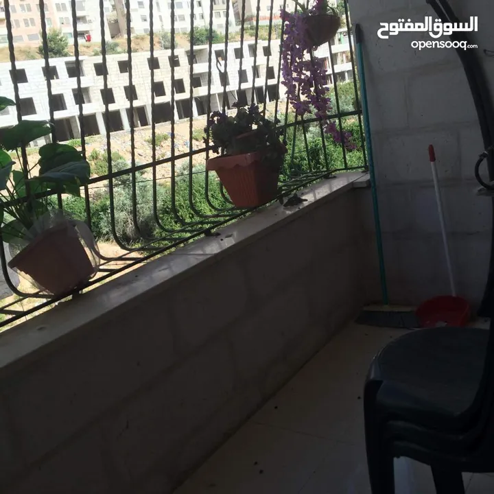 شقة مرتبة مفروشة للايجار