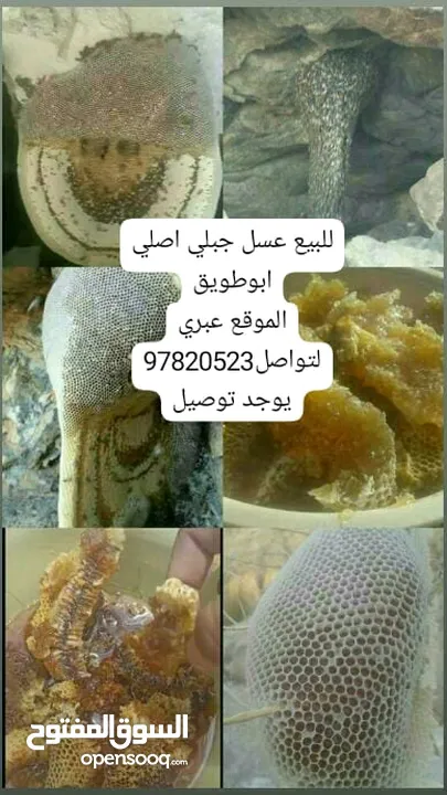 للبيع عسل ابوطويق عسل جبلي