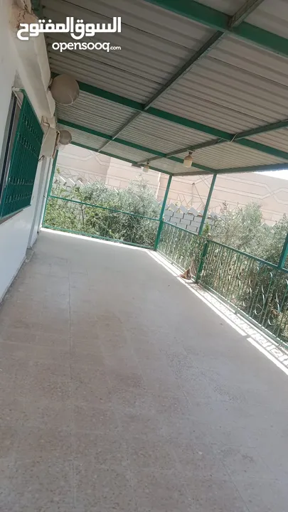 شقق مفروشه للايجار اليومي