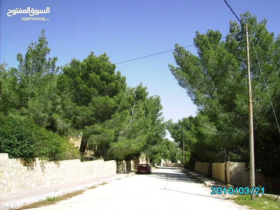 موقع في غابة يصلح لمنتجع ممتاز