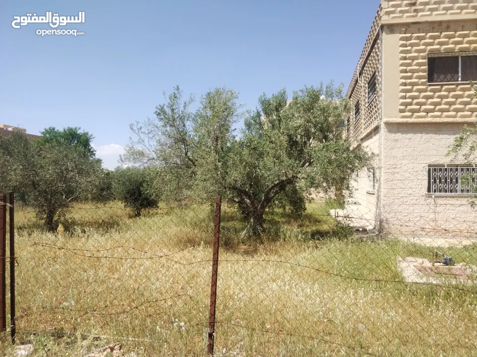 بيت طابقين للبيع