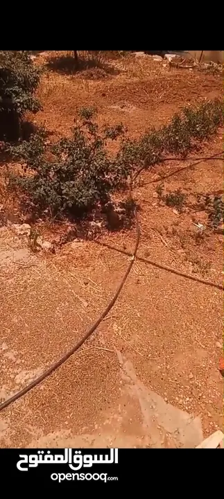 ارض للبيع ع 3شوارت واصل كل الخدمات  في منطقه بيرزيت