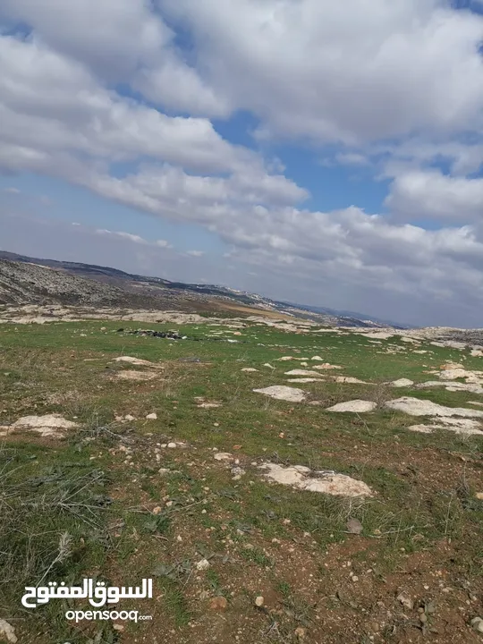 ارض سكنية استثمارية  للبيع  تنظيم سكن أ بمساحة 915 م طريق الجامعة الالمانية _ ناعور _ حسبان