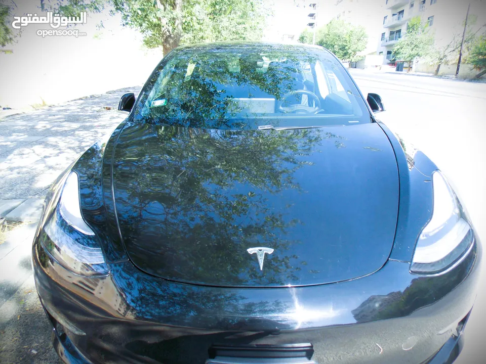 Tesla Model Standard Plus 2019