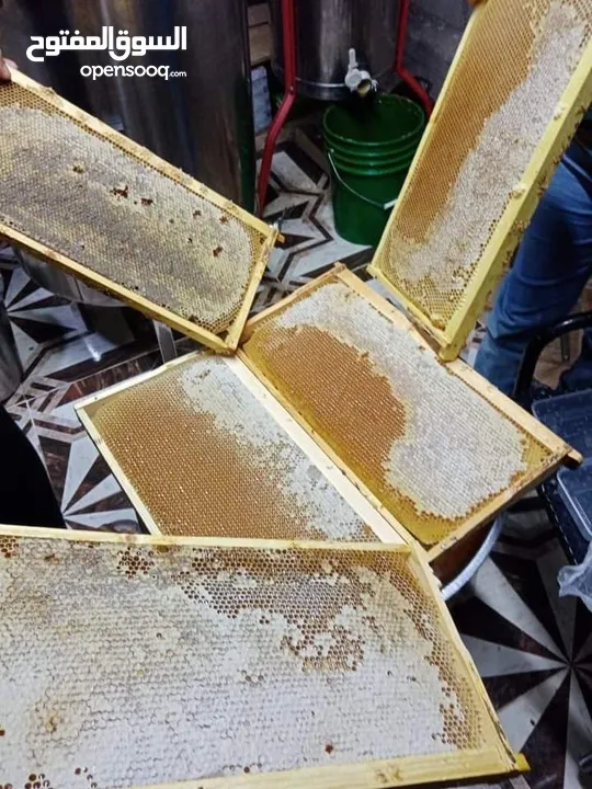 يوجد عسل طبيعي مكفول 100٪ من جبال عجلون _ عرجان سعر الكيلو 15 دينار + هدية علبة حبوب لقاح