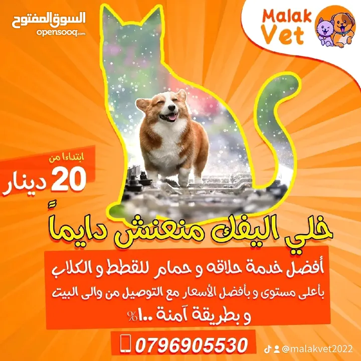 خدمات بيطرية متكاملة للحيوانات الاليفة