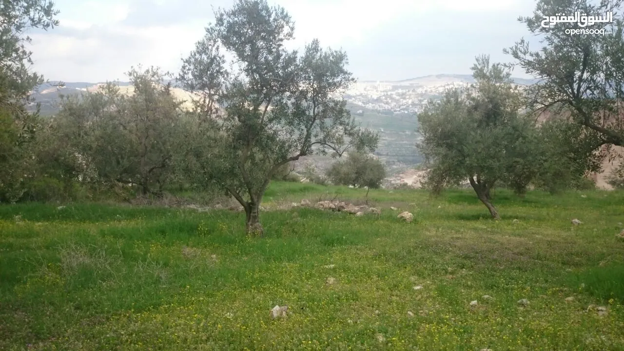 للبيع مزرعه في السلط المغاريب مطله جميع الخدمات متوفره