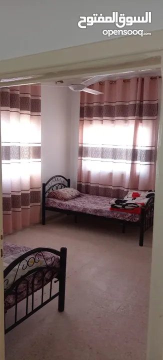 شقه مفروشه