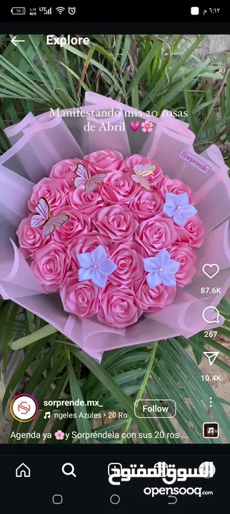 اجمل الباقات