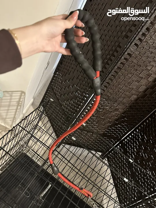 Dog cage قفص كلب كبير