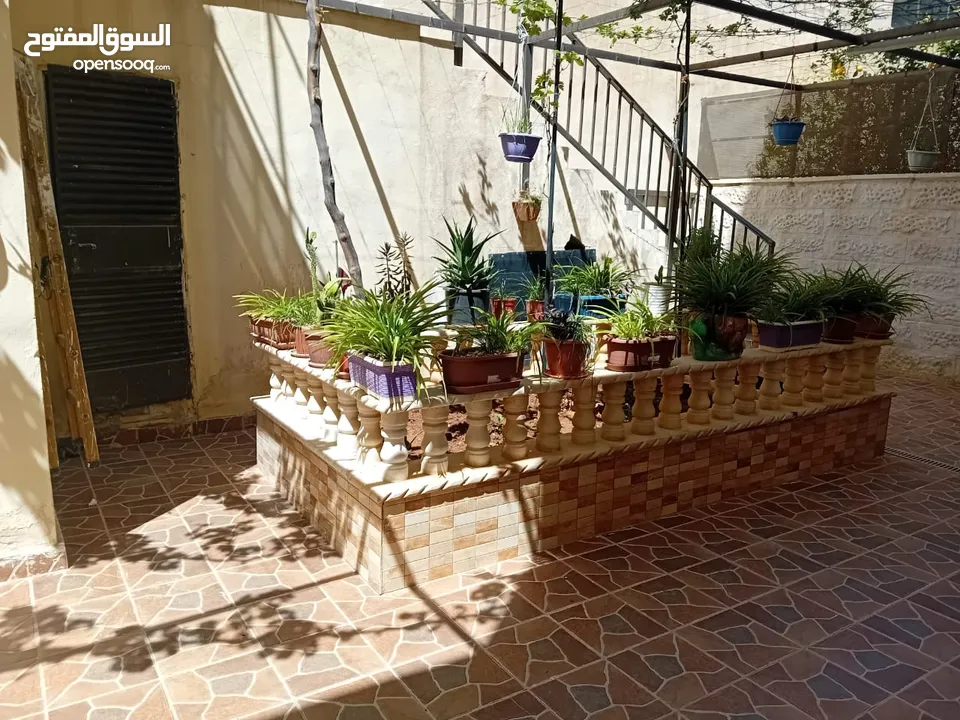 شقة للبيع في عمان