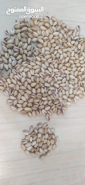 Fresh pistachios of Iran