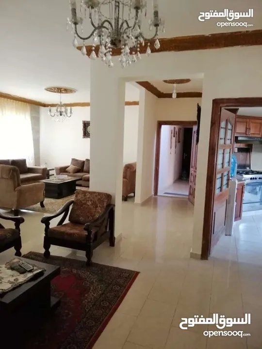 شقة مفروشه ب ضاحية الرشيد