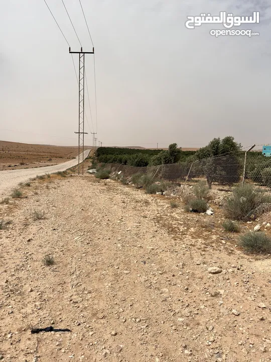 ارض للبيع جنوب المطار حوض الطلاق الشرقي بسعر مغري