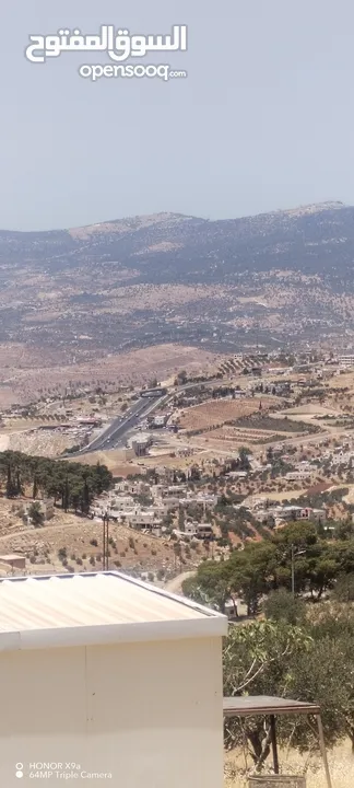 3600متر مزروعات باشجار الزيتون كامل القطعة مطلة وكاشفة