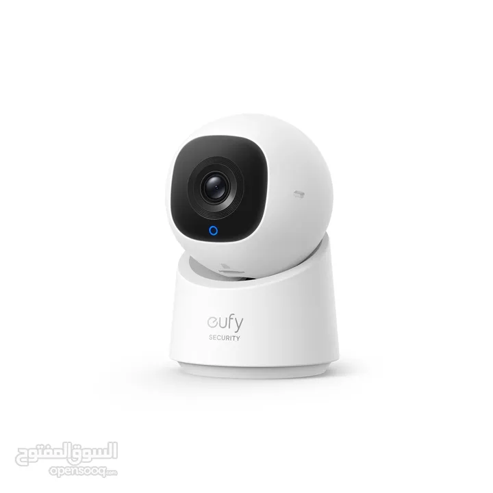 Indoor Cam C220