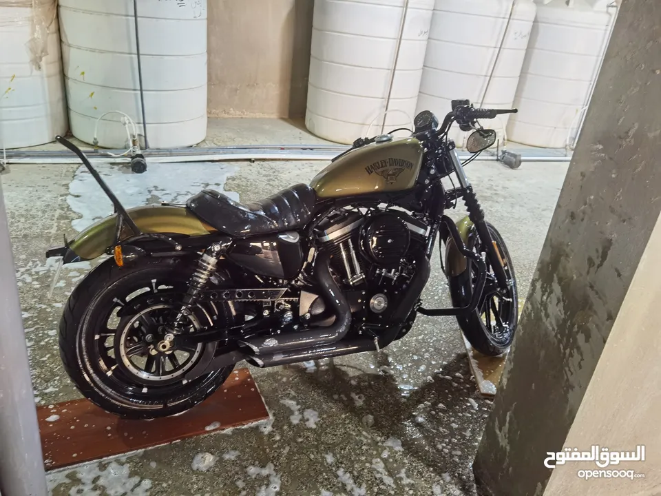Iron883 very clean