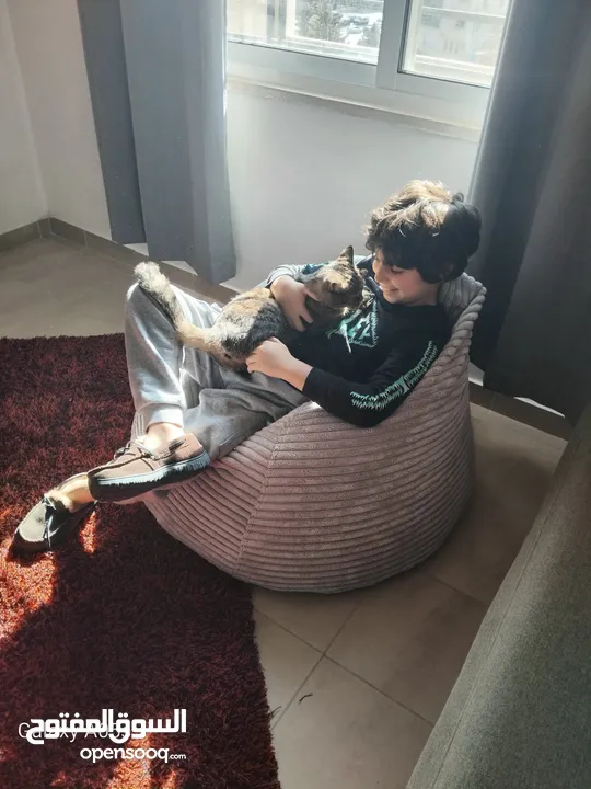 بفات beanbags  لالعاب البلايستيشن والقراءة وتكملة اعمال الكمبيوتر