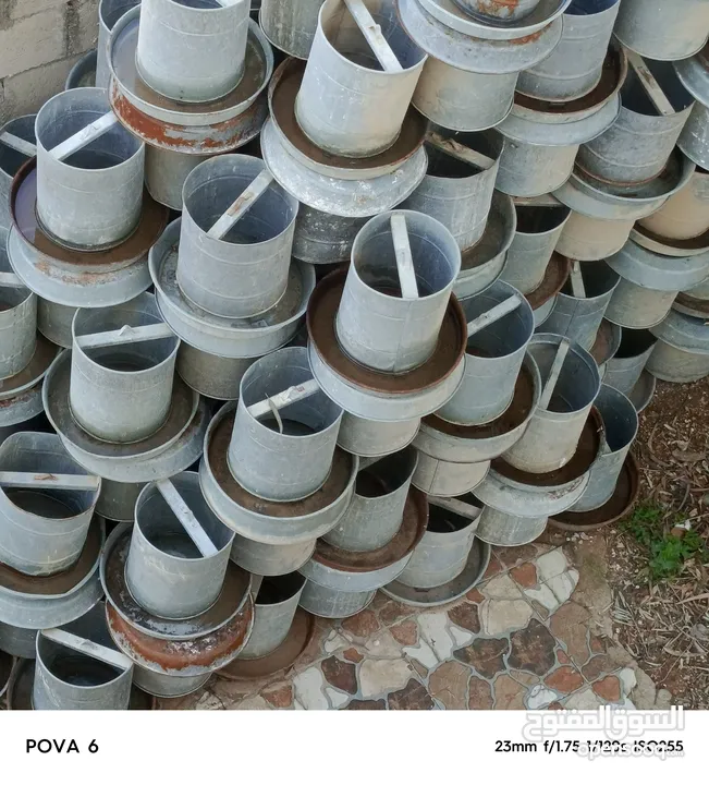 صوص لاحم العمايره اعلاف لاحم للصوص والدجاج  وبياض واعلاف محلات بيع الدجاج واعلاف مركز للدواجن