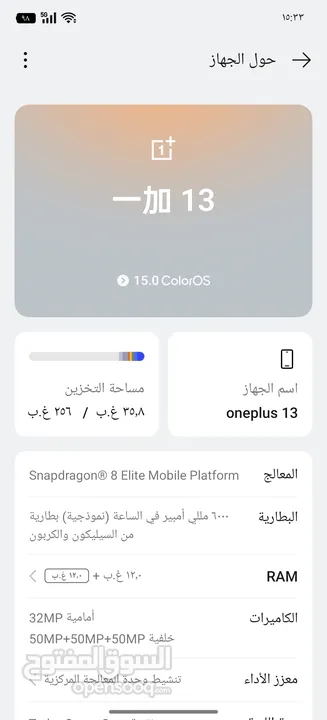 OnePlus 13