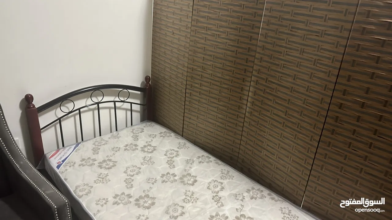 Executive bed space for rent in ewans in dip1 for Indians