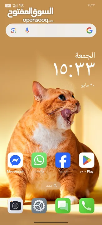 OnePlus 13