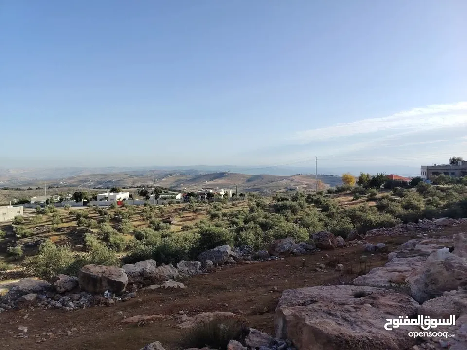 ي بلاش قطع مرتفعة مشجره جاهزه ومخدومه مجاوره للاحراش والغابات منطقة ام بطيمه قرب ترخيص جرش واتستراد