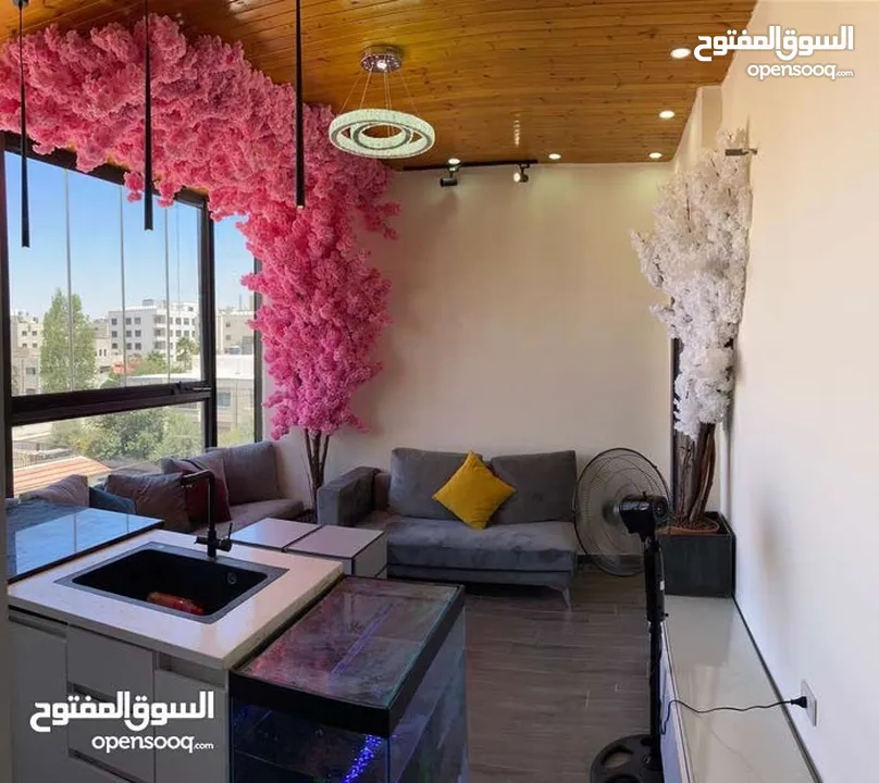 استديو للايجار اليومي والاسبوعي 24 ساعه