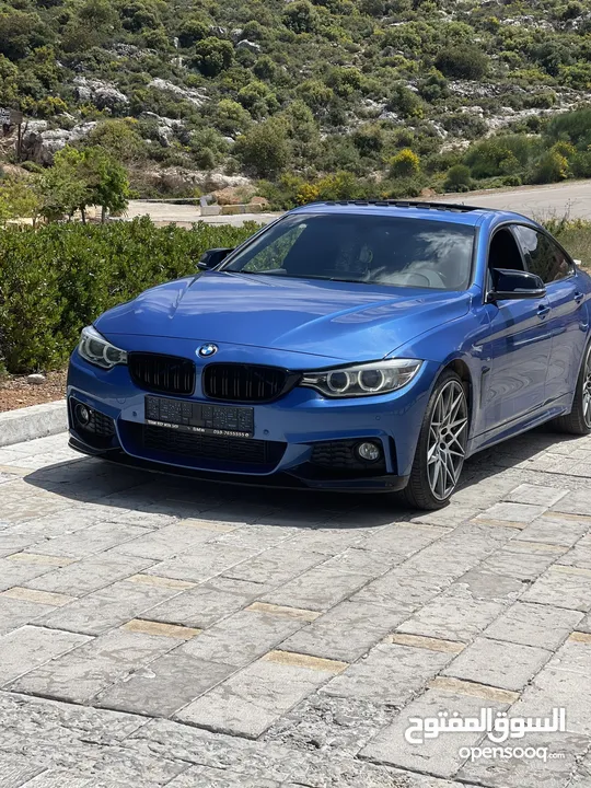 محمد حلمي محمود