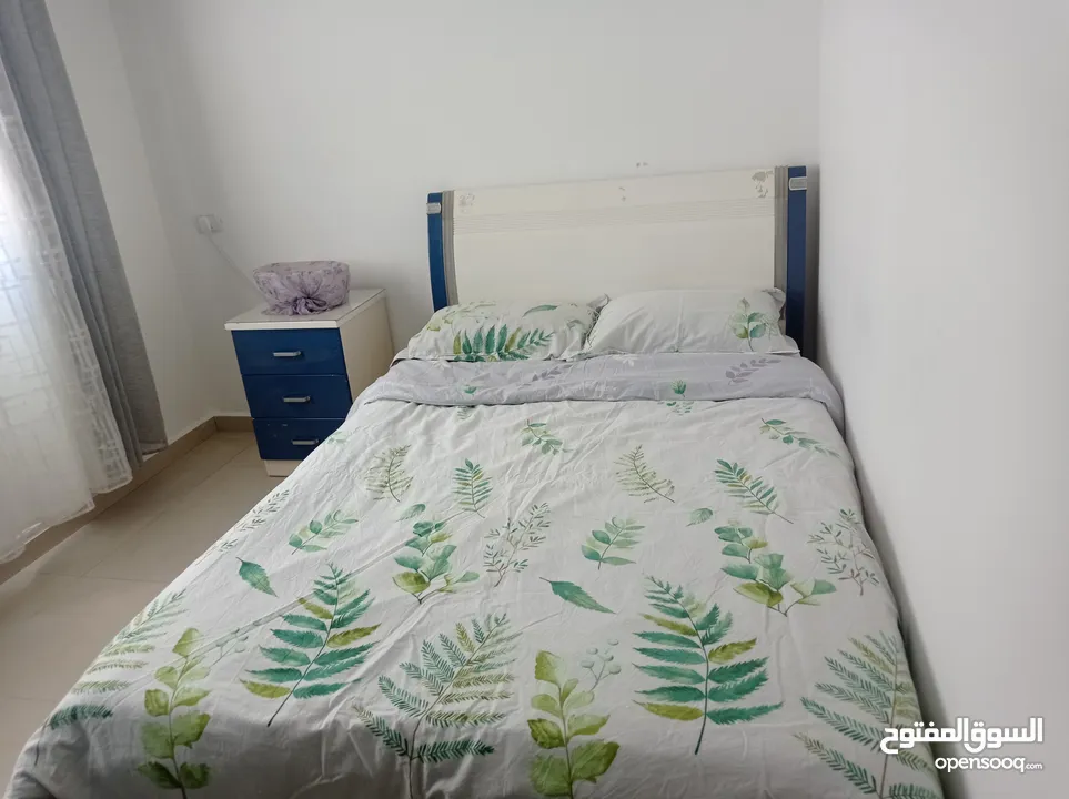 شقه مفروشه للايجار