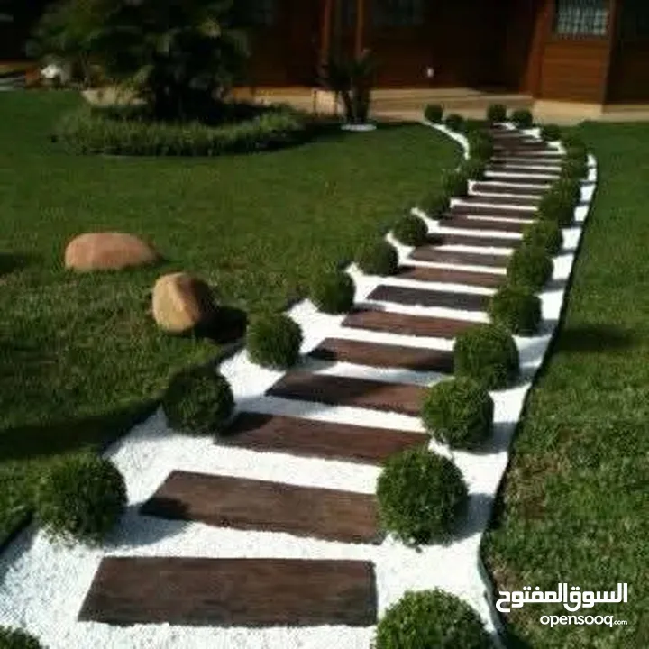 نجيل ديكوندرا ونجيل طبيعي