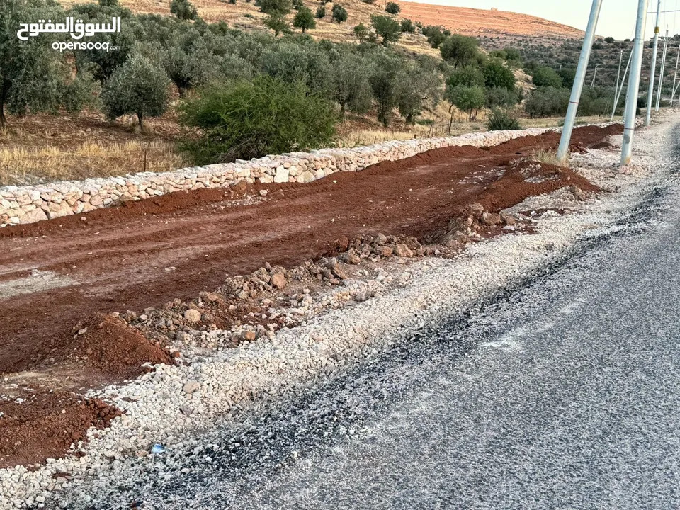 ارض للبيع مساحه 6 دونم و 400 متر النعيمه مستصلحه واصل كهرباء على شارع معبد 10 متر وقريبه من الخدمات