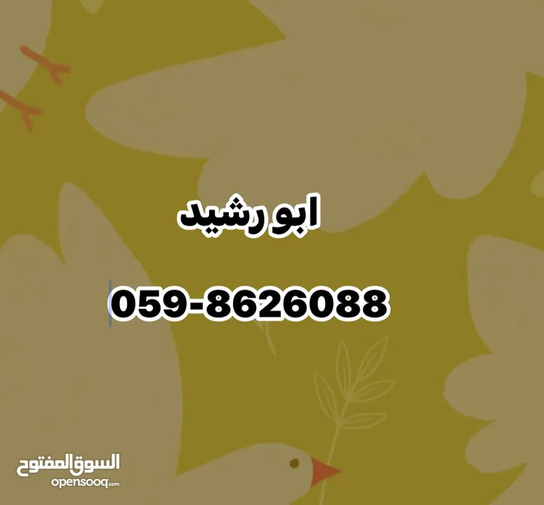 مخزن للإيجار  امتداد السكة المعاجين قرب جامعة القدس اول جبل عجرم يصلح لأي شيء تخزين او منجرة وغيرة