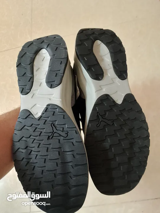 حذاء .Puma  اصلي بحال الوكاله لساته جديد وارد أروبي  الواحد ب 35