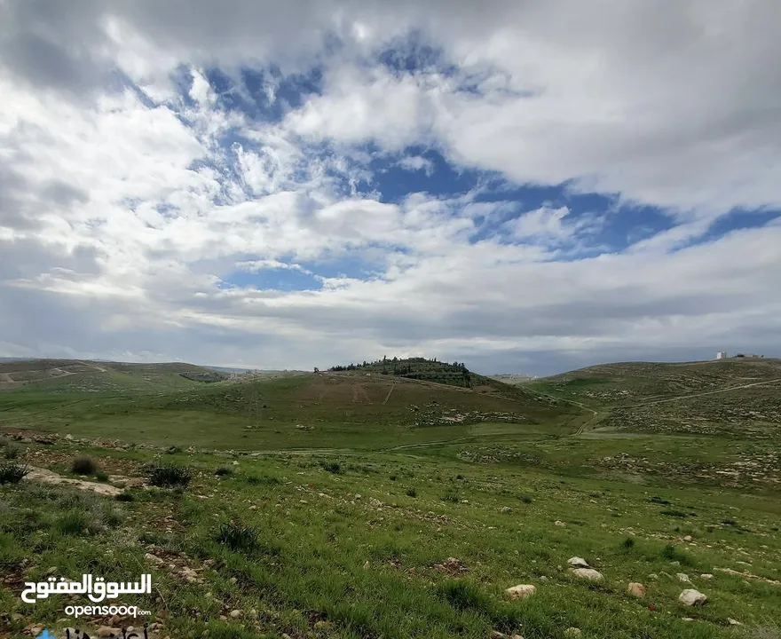 ارض للبيع في شفا بدران زينات الربوع من المالك مباشره