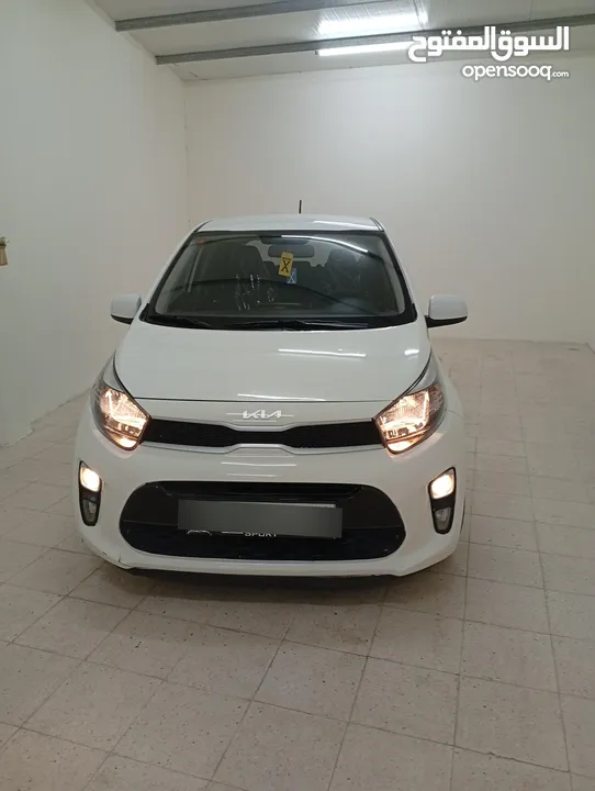 كيا بيكانتو متور 1200 موديل 2022 سعر حرق على الكاش إمكانية البيع نص كاش ونص شكات